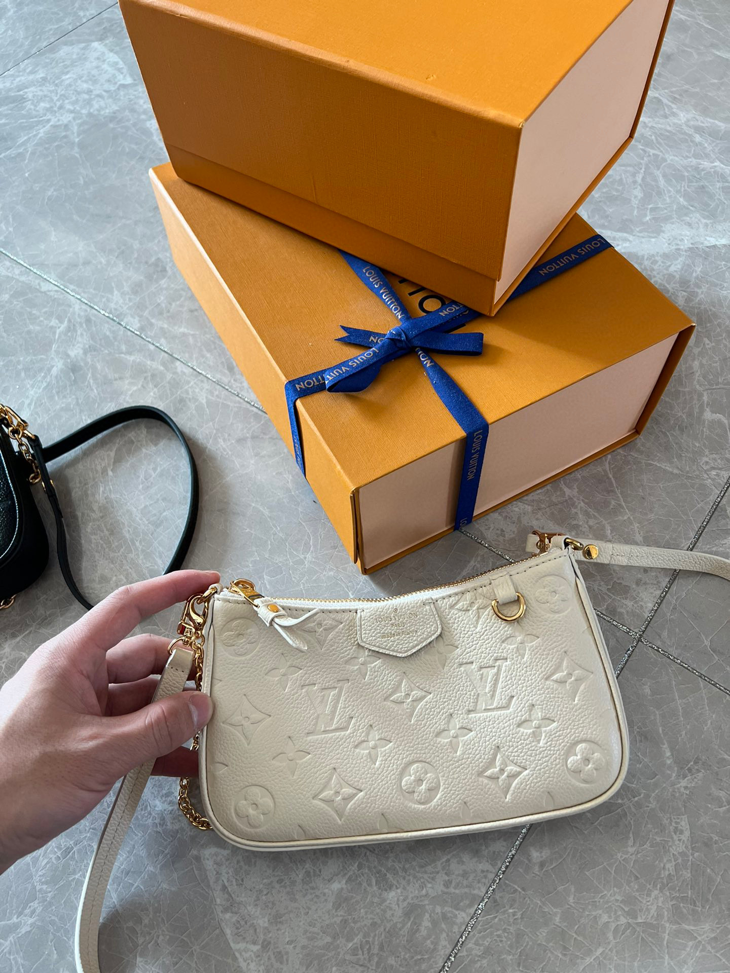Louis Vuitton Backpacks – LVPC1003
