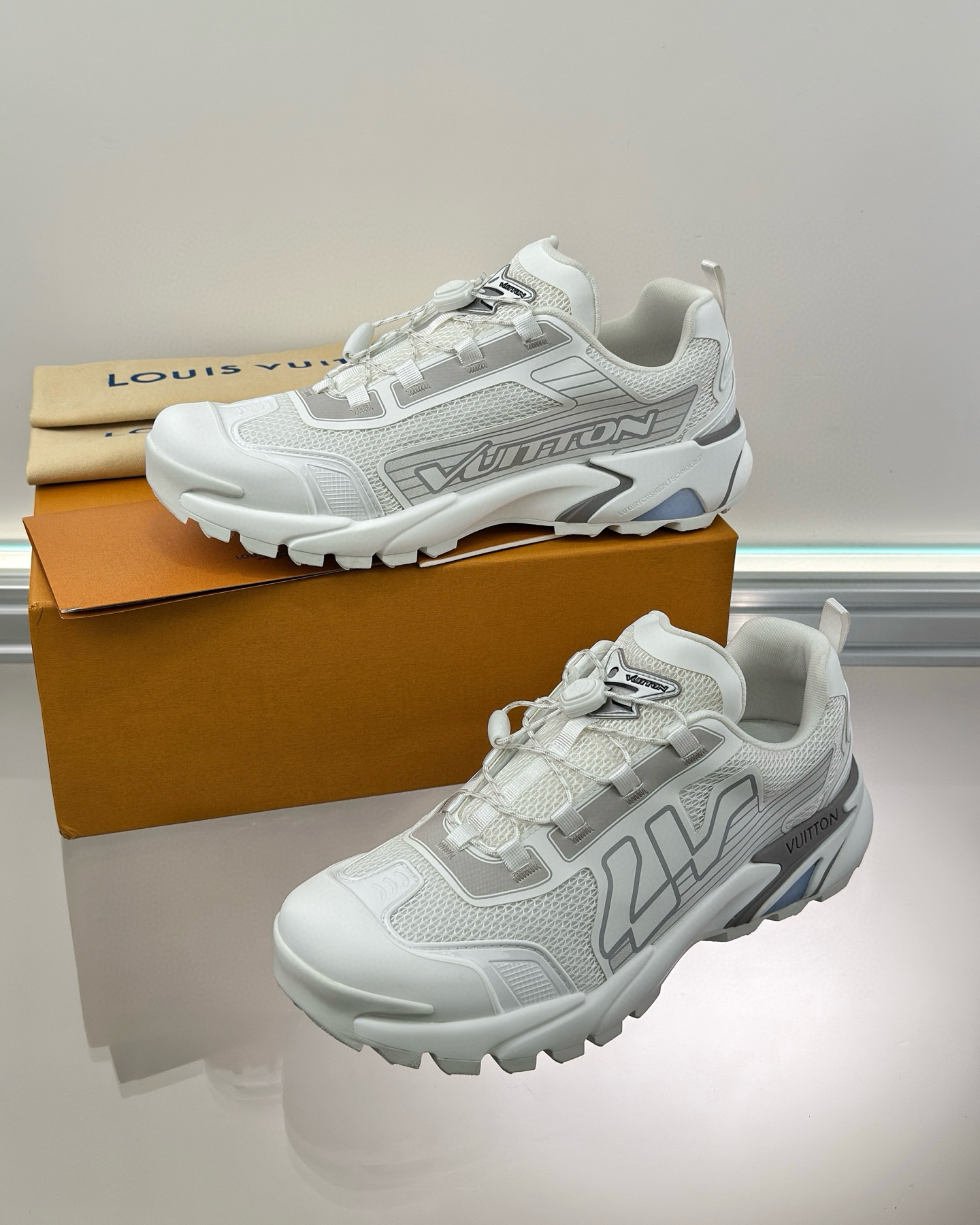 Louis Vuitton Sneaker – LSVT1460