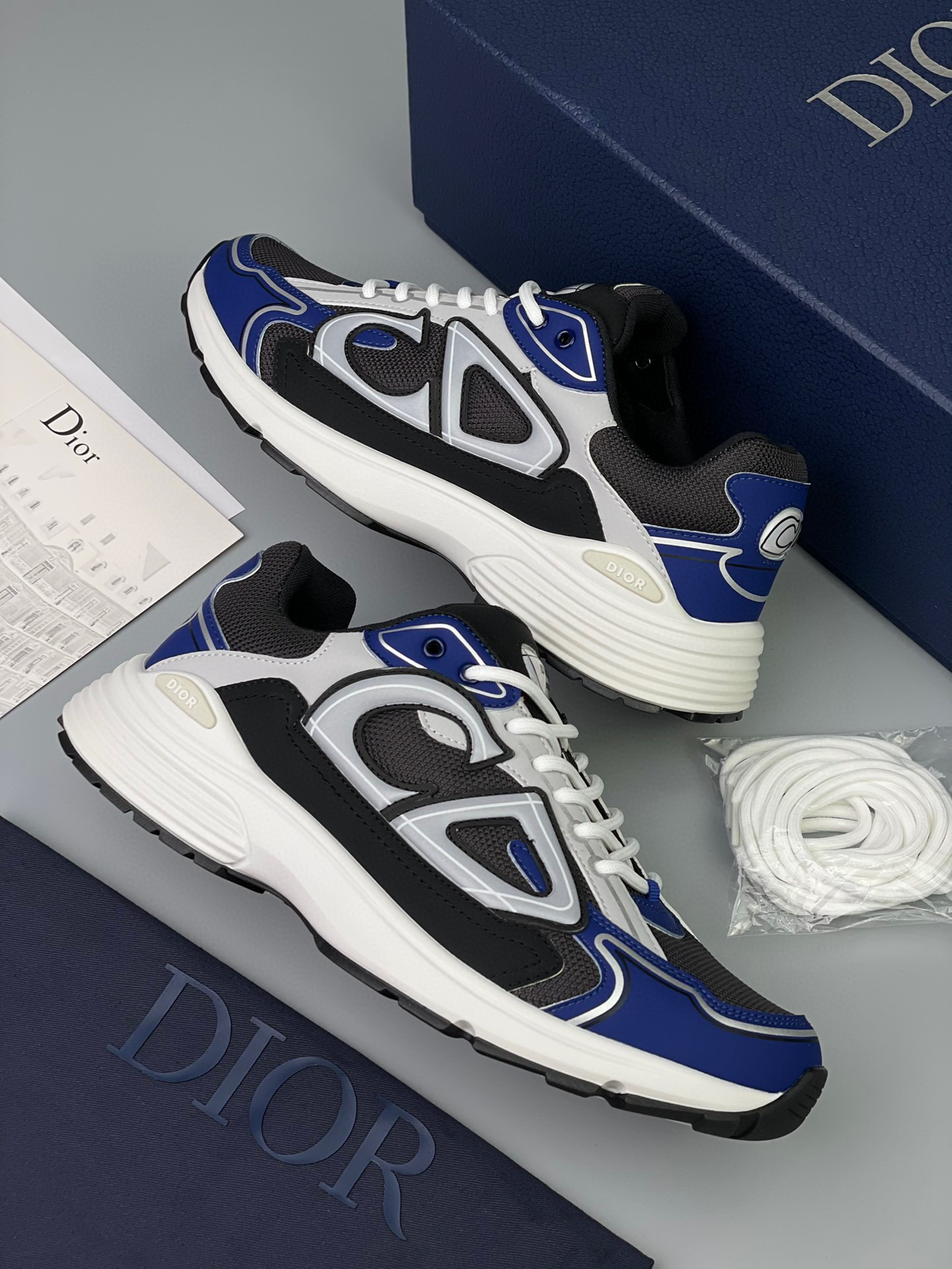 Dior B30 Sneaker – DIOR1234