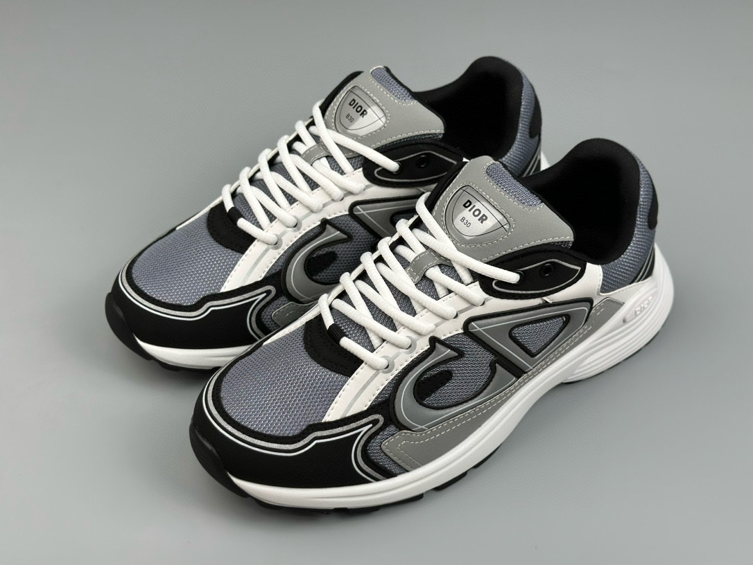 Dior B30 Sneaker – DIOR1245