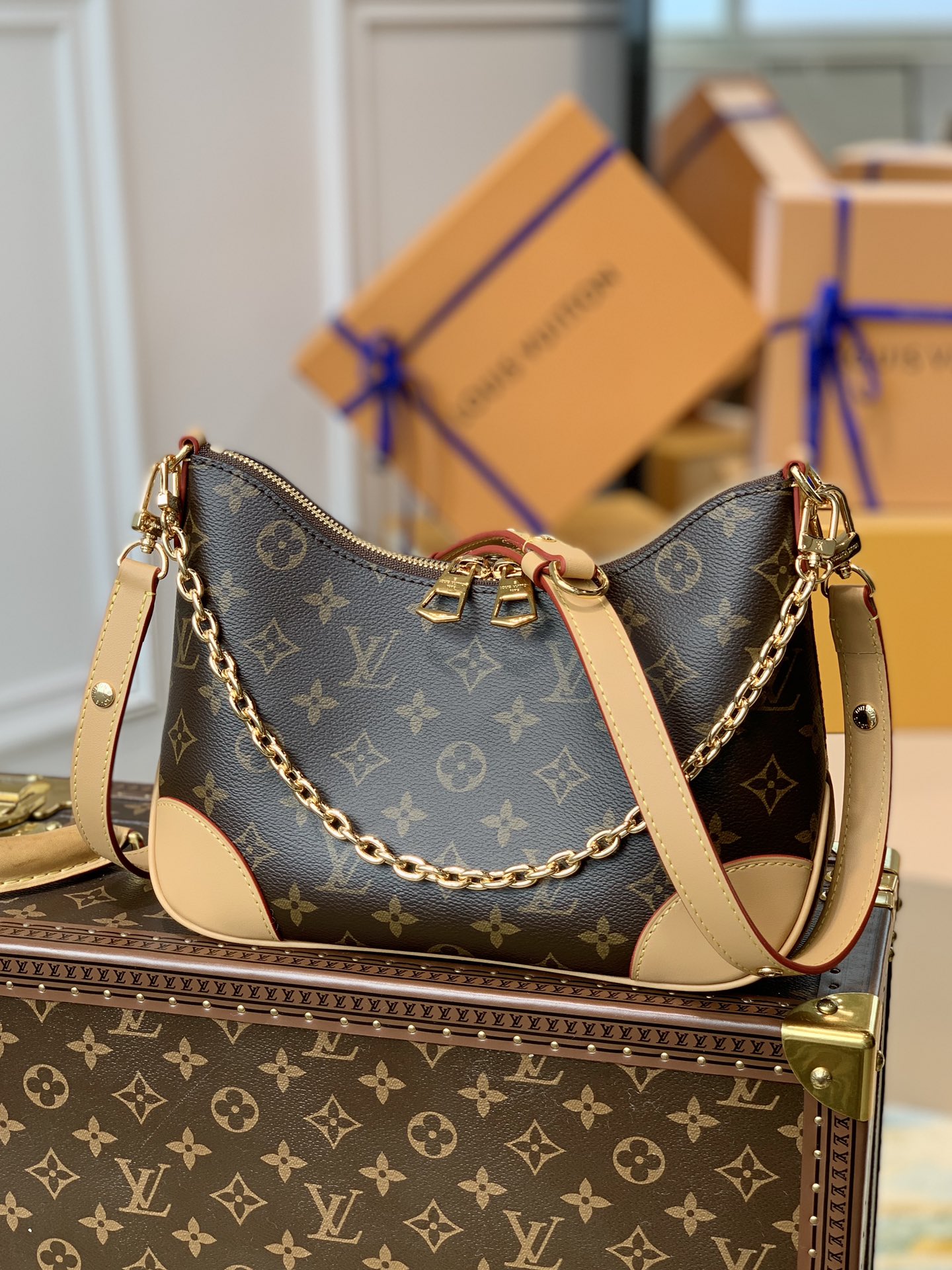 Louis Vuitton Shoulder Bag – LVSH1148