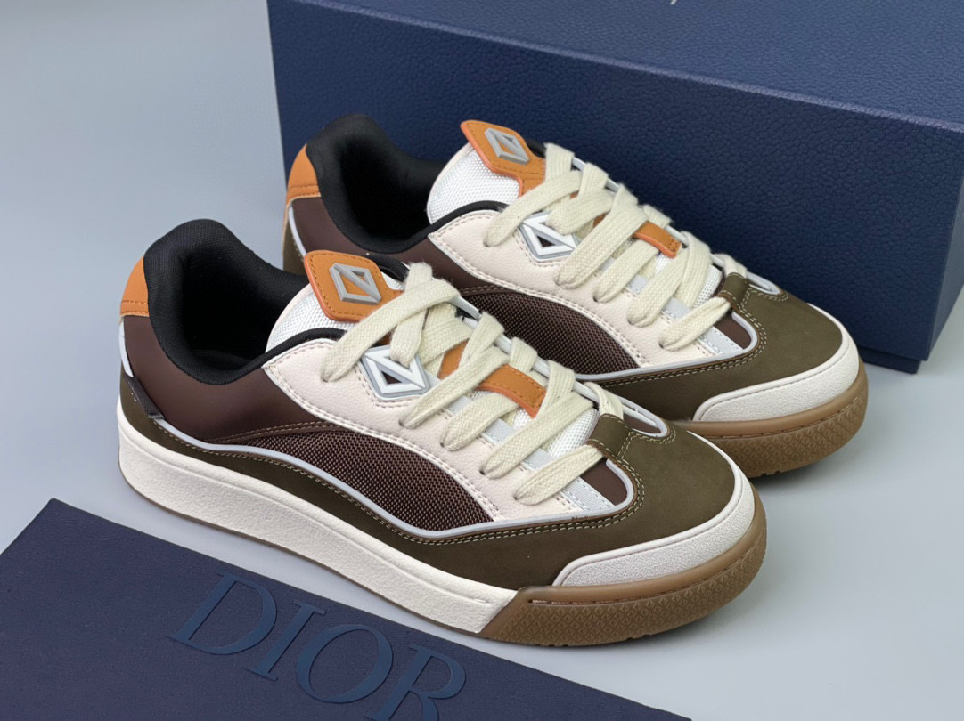 Dior B713 Sneaker – DIOR1167
