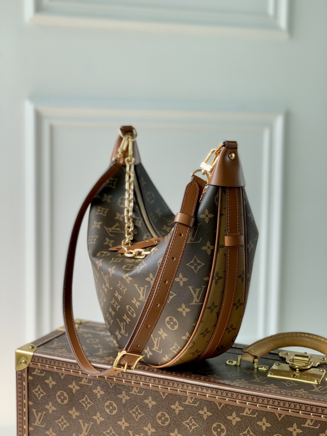 Louis Vuitton Shoulder Bag – LVSH1197