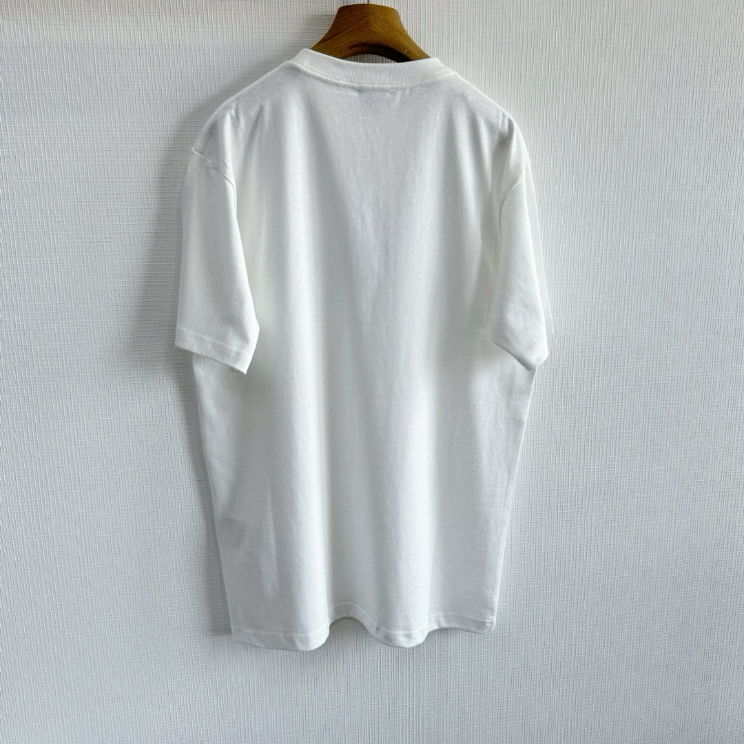 Dior T-Shirt – TSHP3004