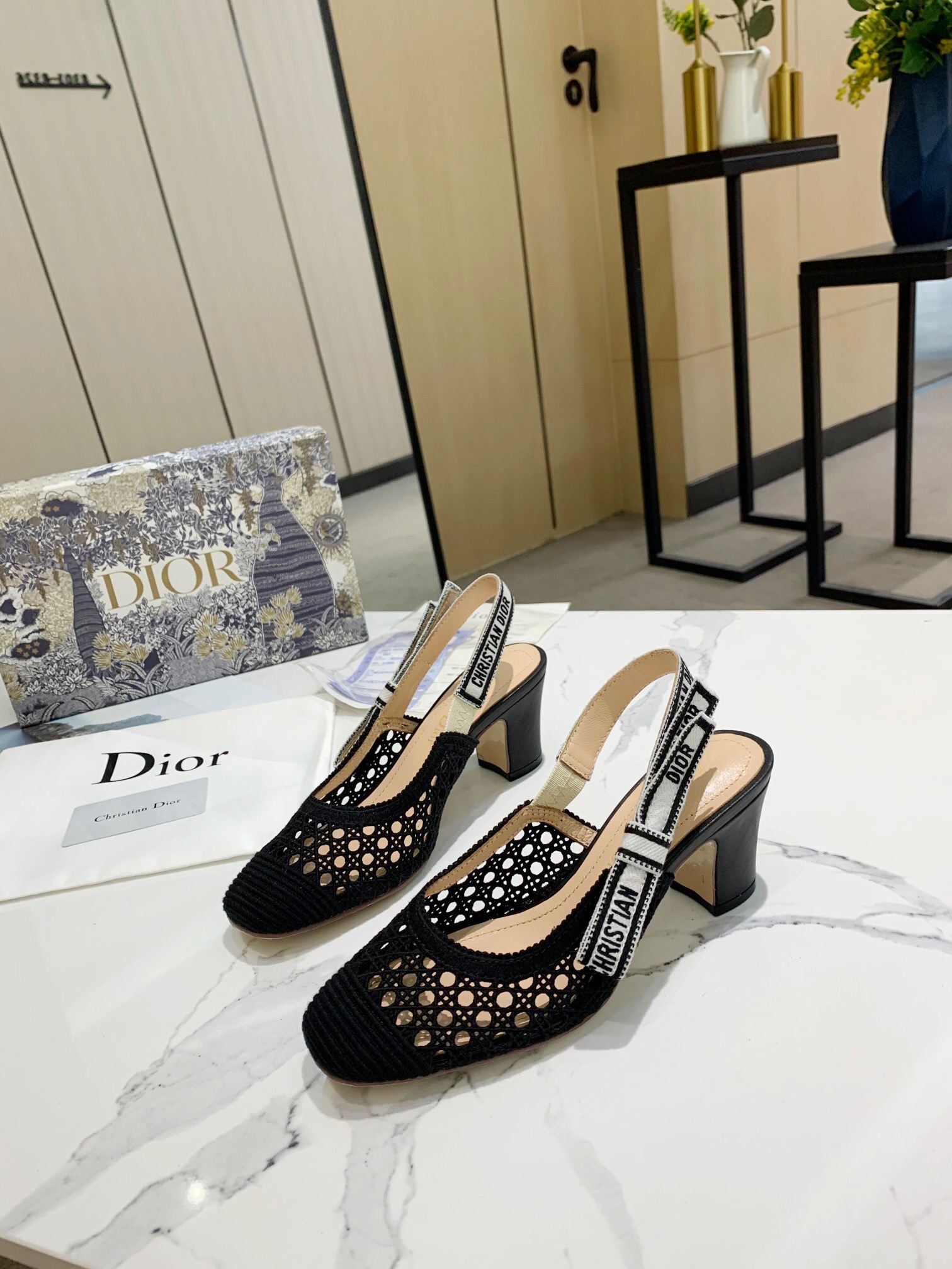Dior Pumps – WOCD1045