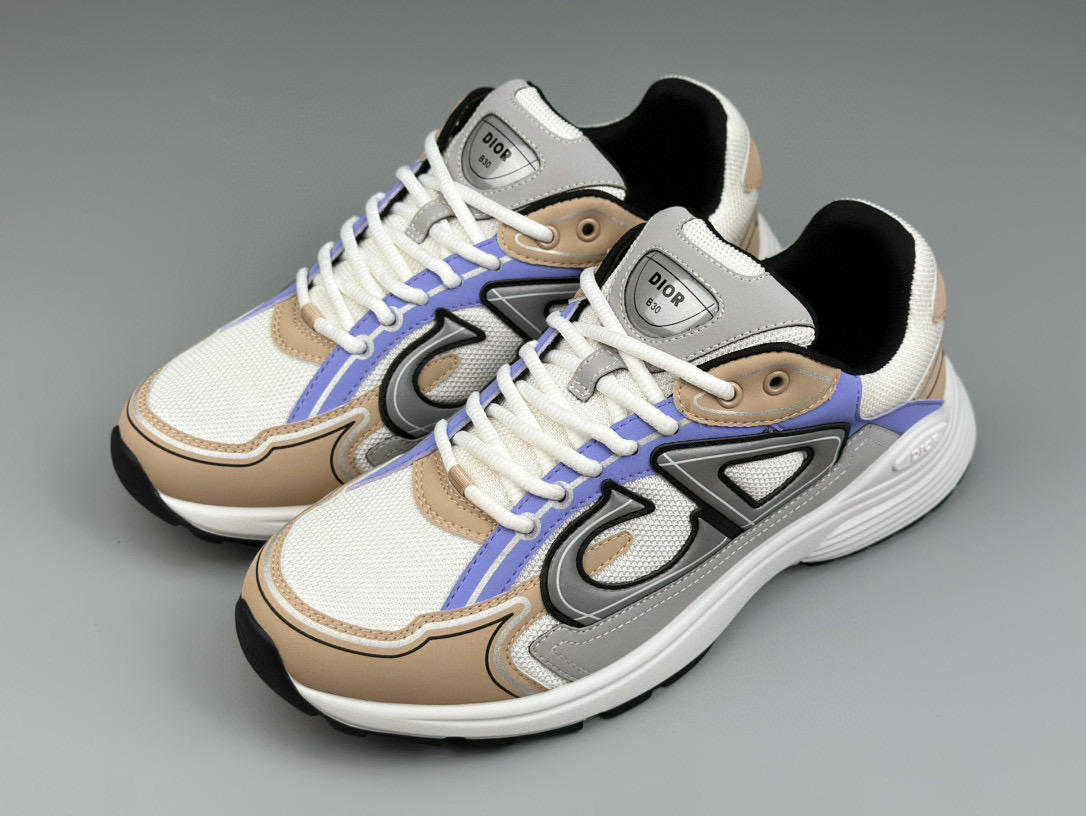 Dior B30 Sneaker – DIOR1237