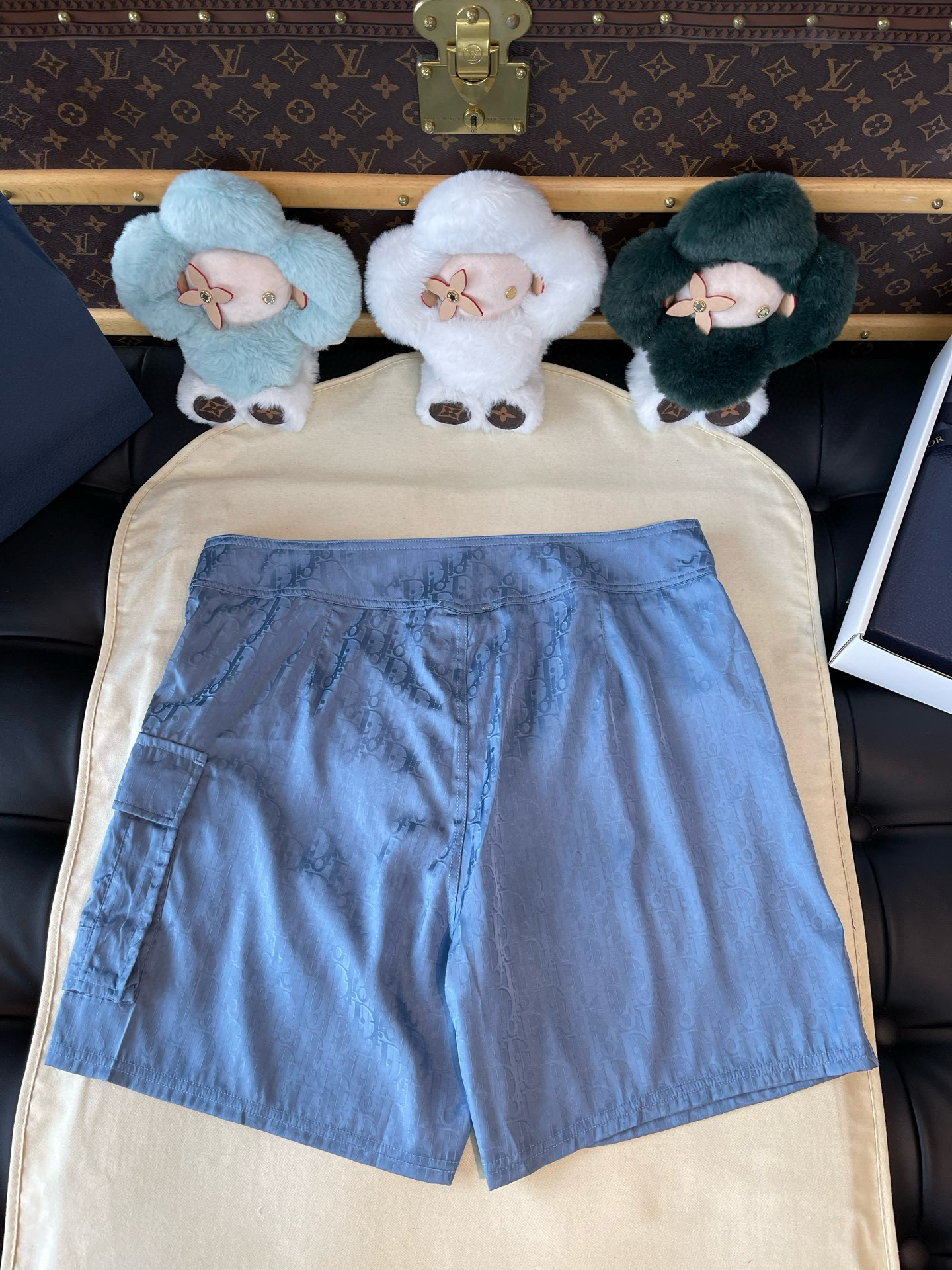 Dior Swim Short – SHRT1319