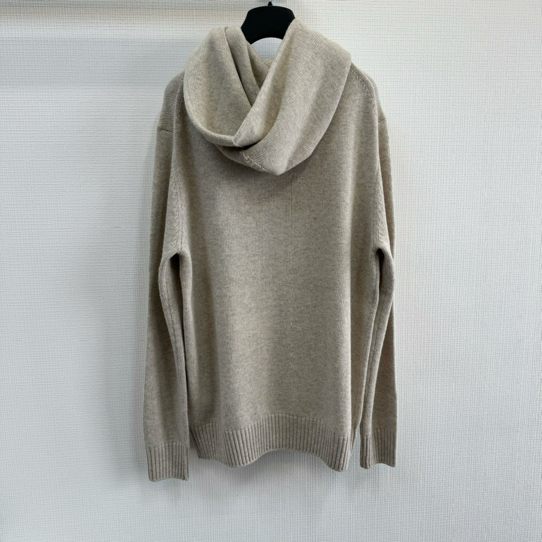 Dior Hoodie – SWHO2206