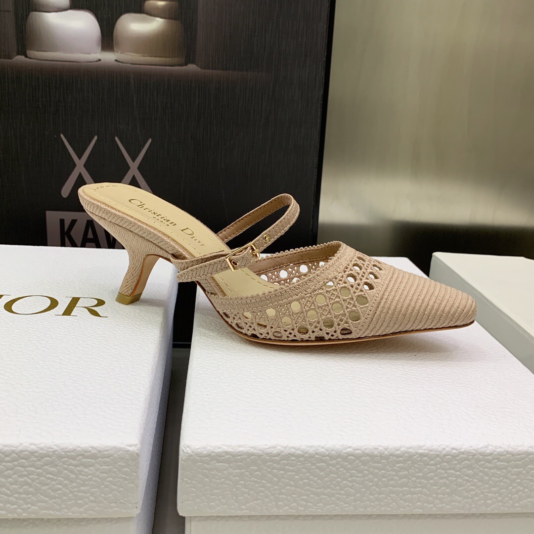 Dior Pumps – WOCD1037