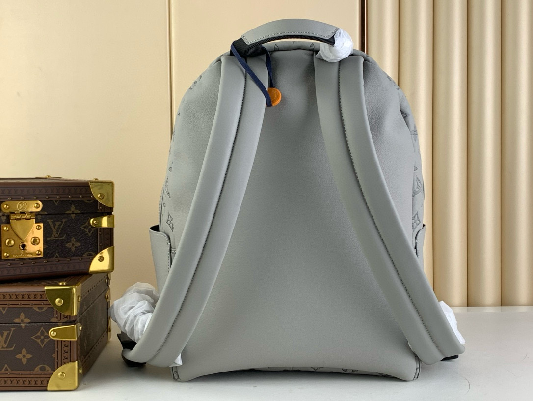 Louis Vuitton Backpack – BBCP1024