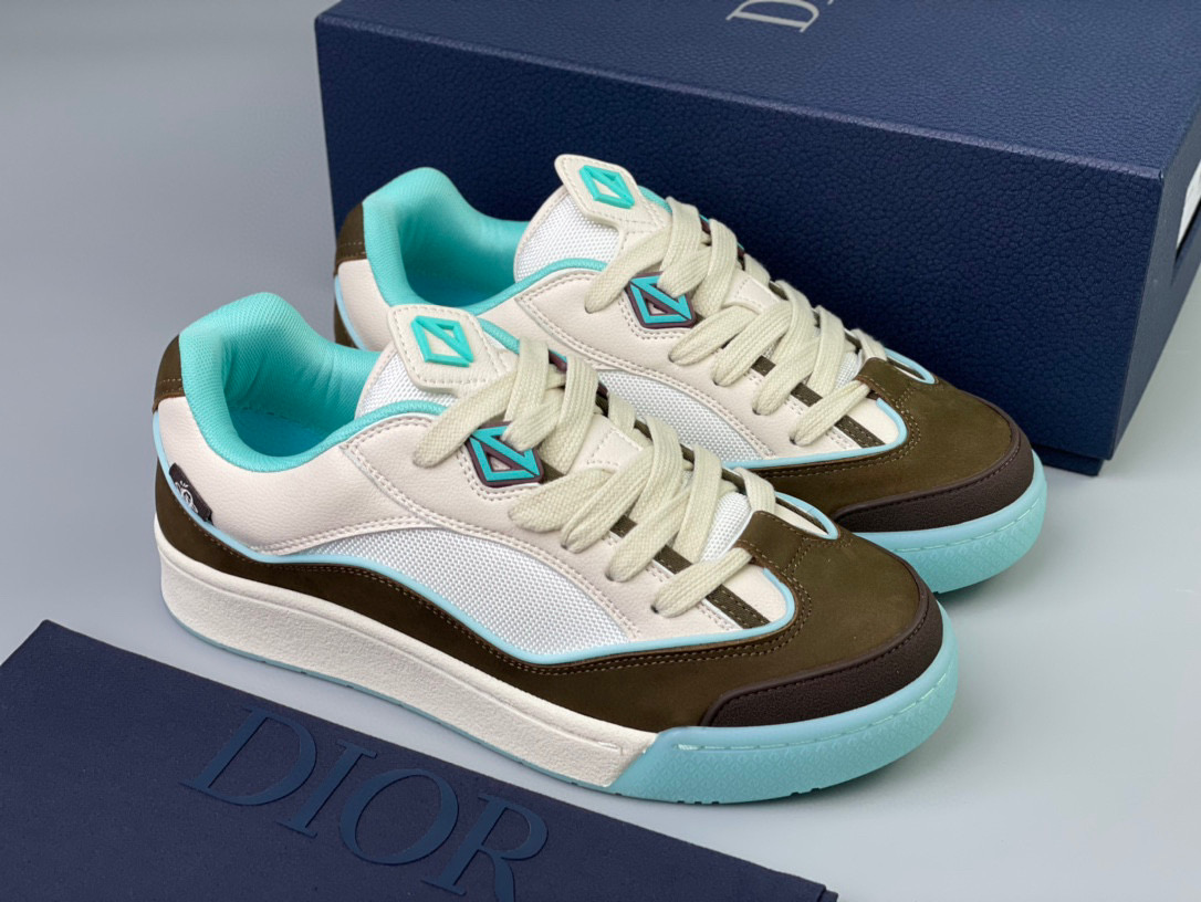 Dior B713 Sneaker – DIOR1166