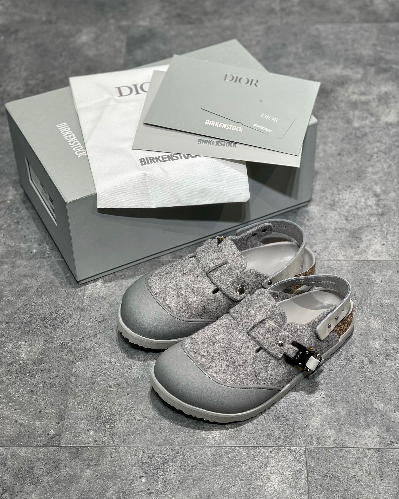Dior Slipper – SLPR1143