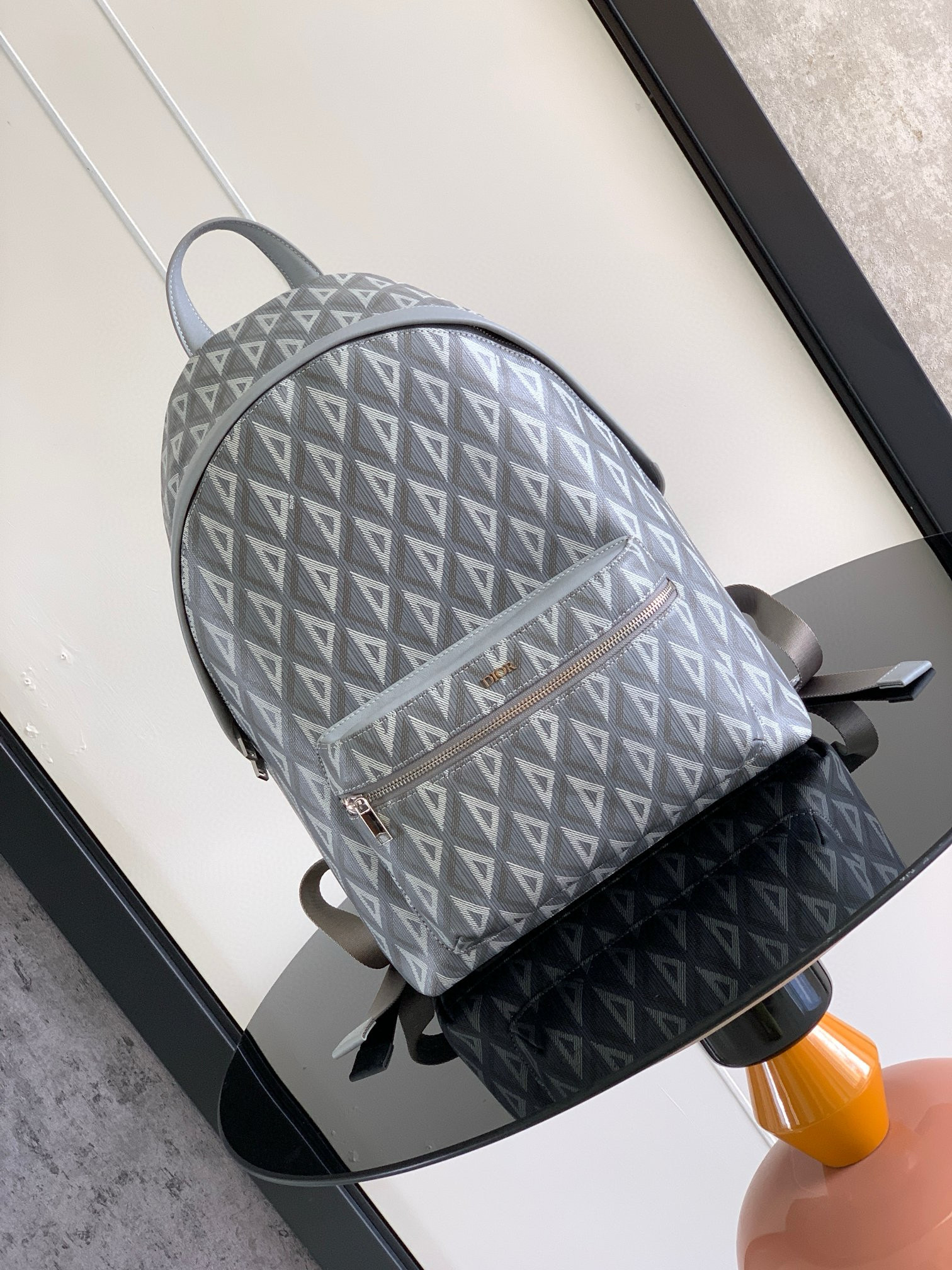 Dior Backpack – BBCP1053