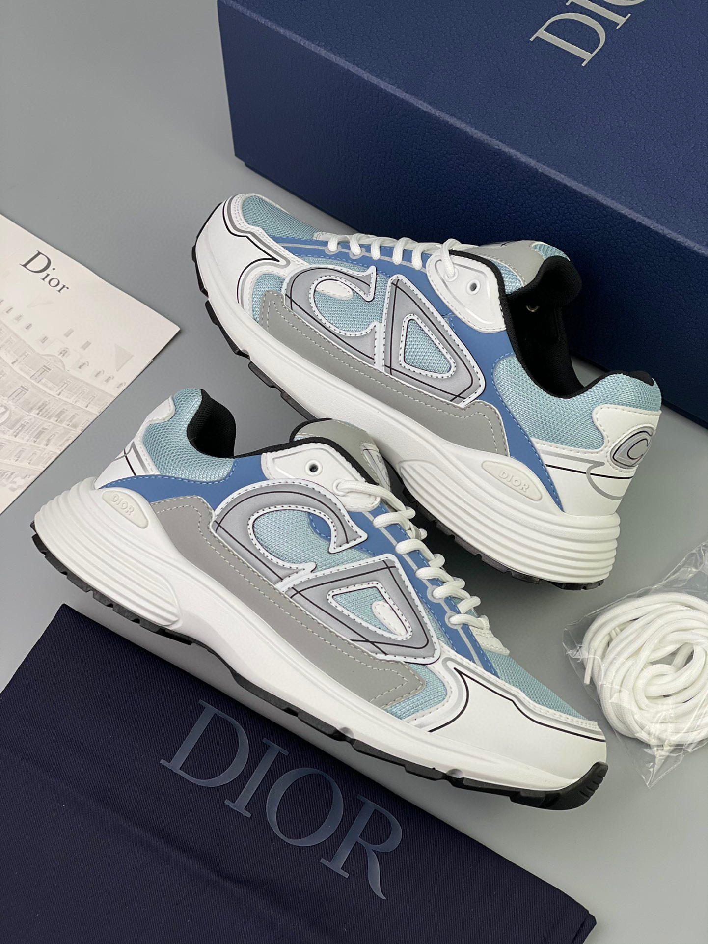 Dior B30 Sneaker – DIOR1181