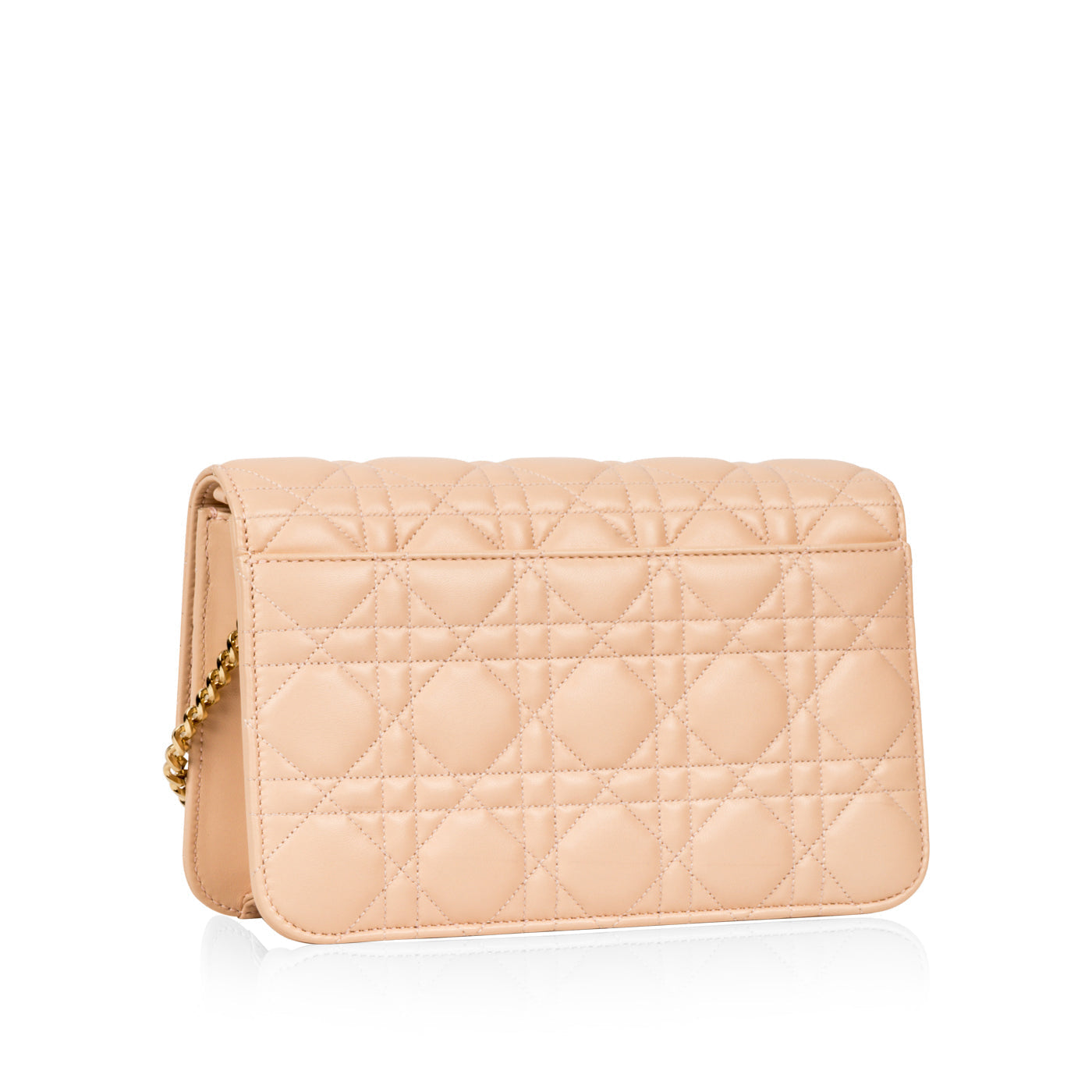 Miss Dior Promenade Crossbody Bag