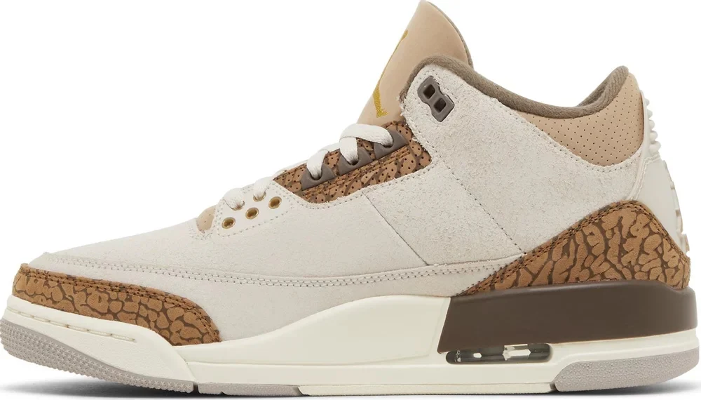 Air Jordan 3 Retro 'Palomino' CT8532-102