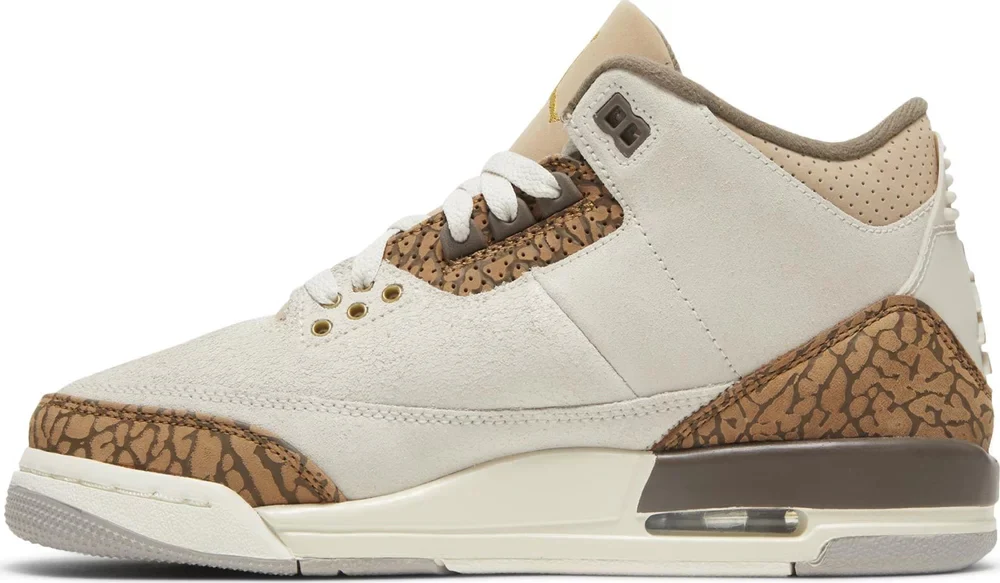 Air Jordan 3 Retro GS 'Palomino' DM0967-102