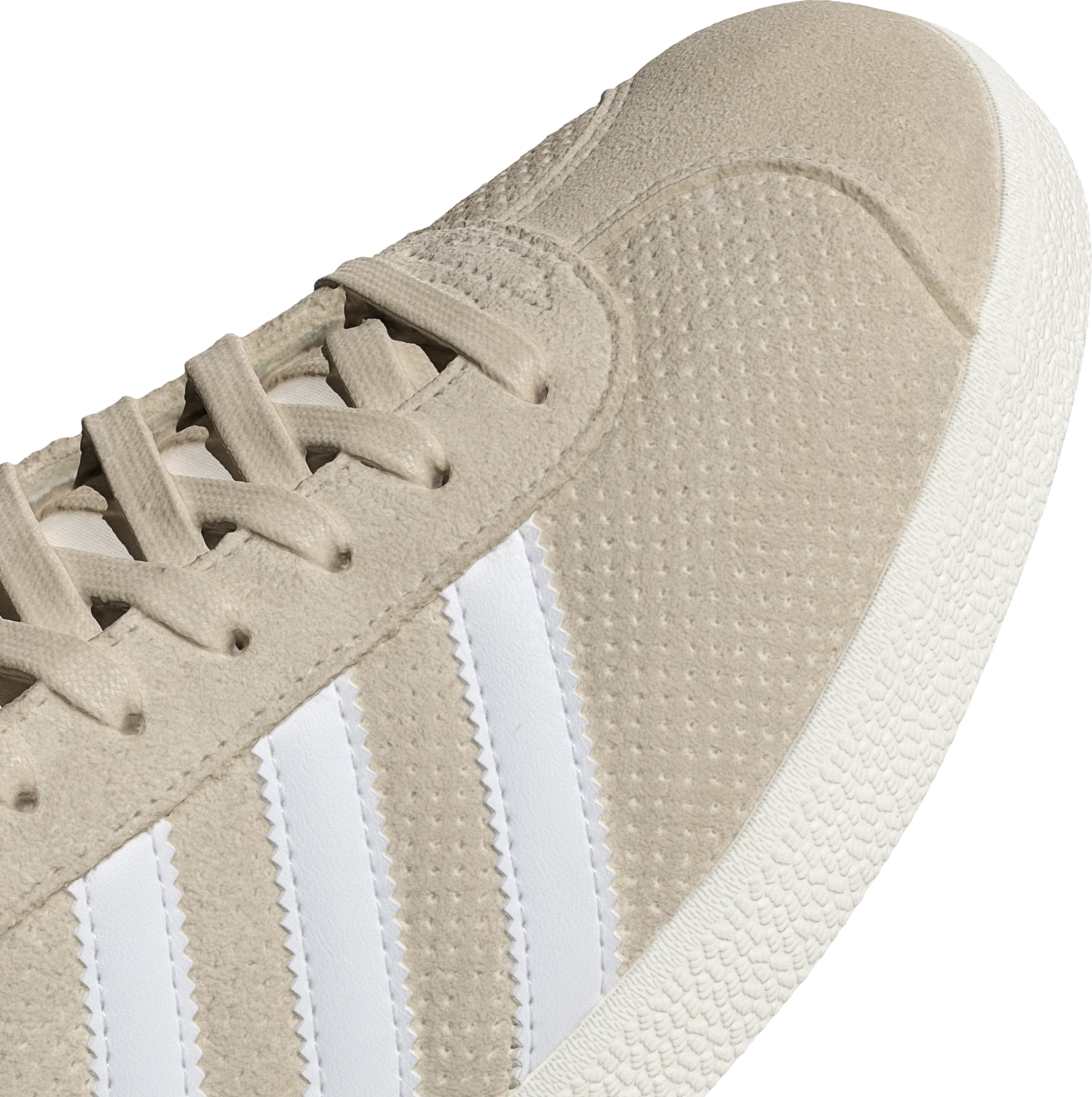 Gazelle 'Wonder White'