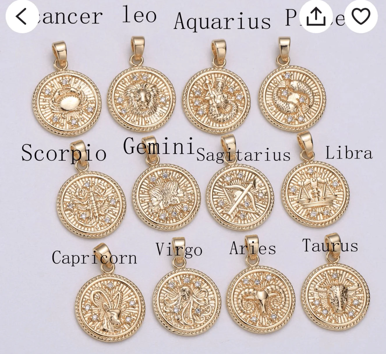 Your Zodiac Coin Pendant