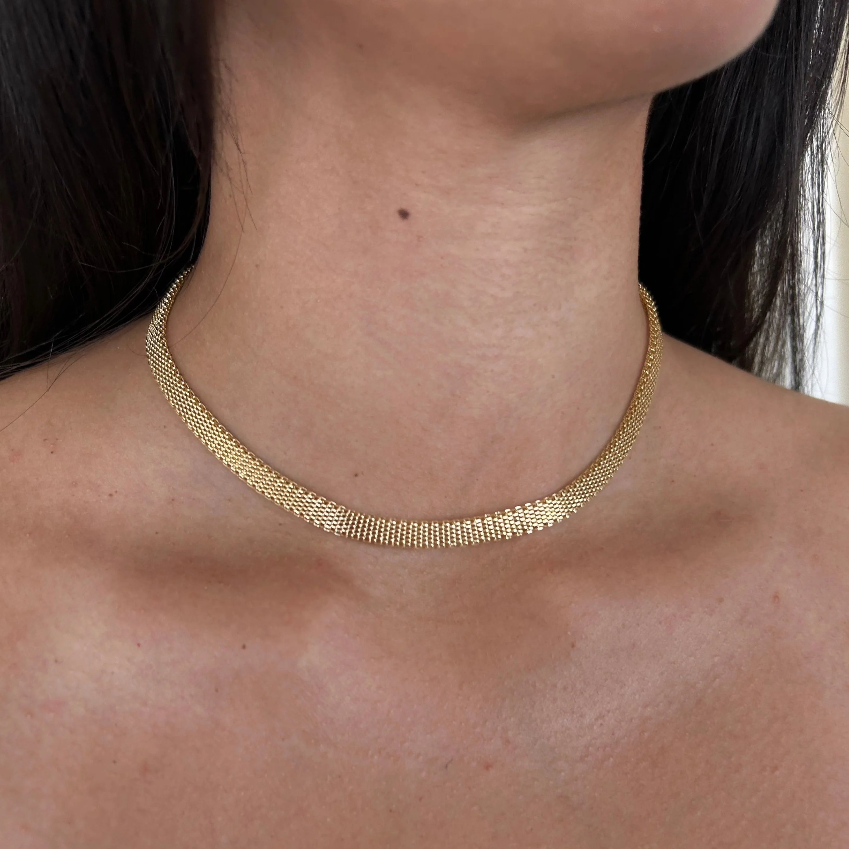 The Euro Mesh Necklace