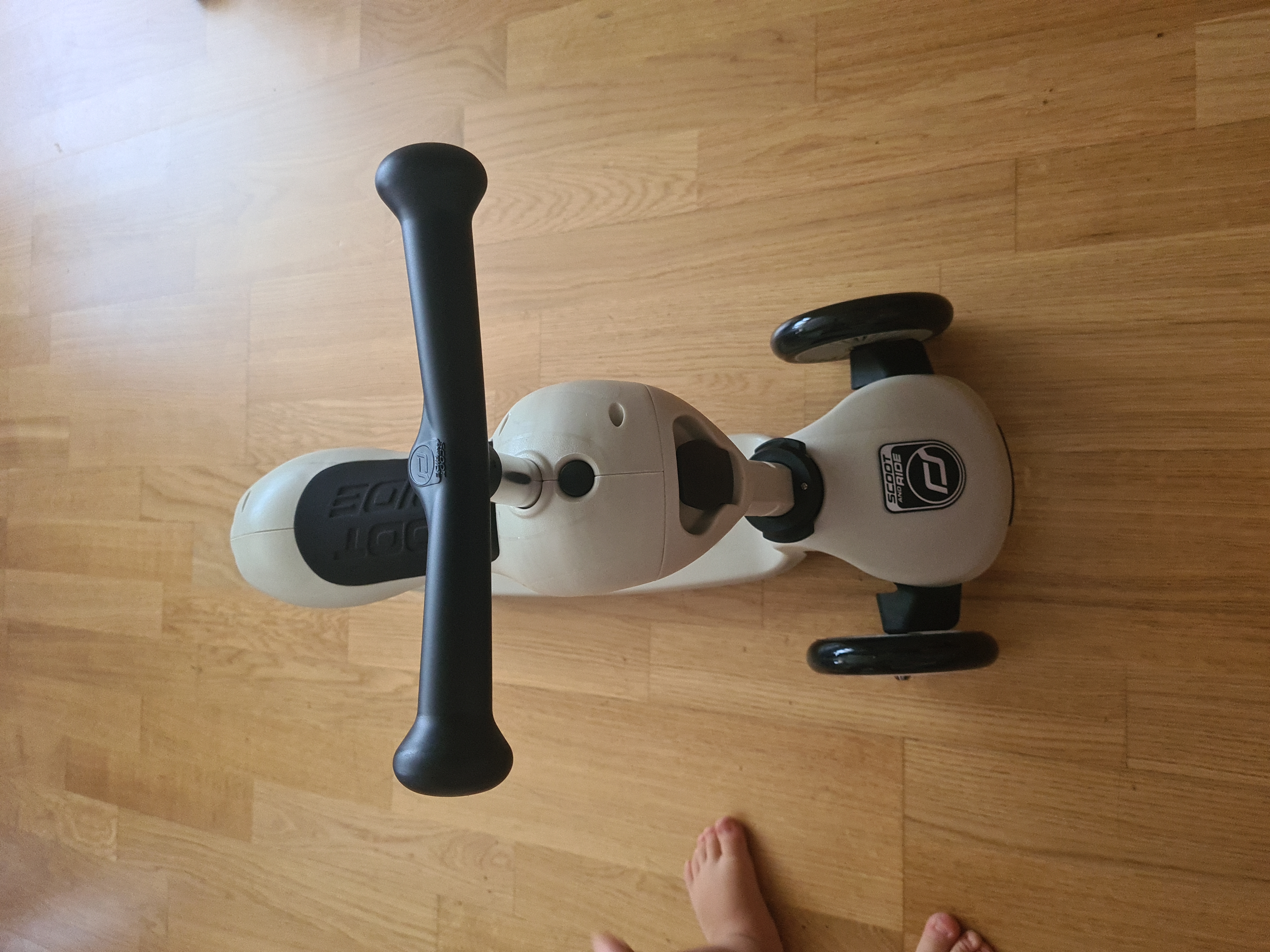 【Sports&Outdoors】Children Adjustable Seated or Standing 2-in-1 Scooter Including Safety Pad for Tip Prevention