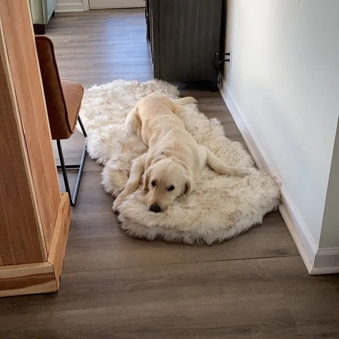 【Pet】Pretor Puprug Runner Faux Fur Memory Foam Dog Curve Mat