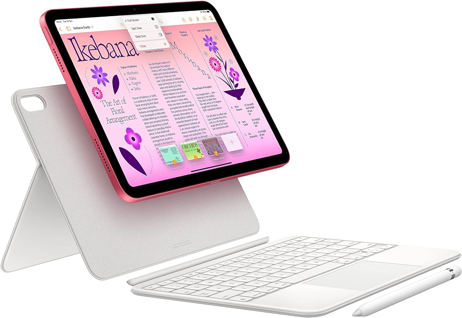 Apple 2022 iPad 10.9-inch (Wi-Fi + Cellular) - 10th Generation
