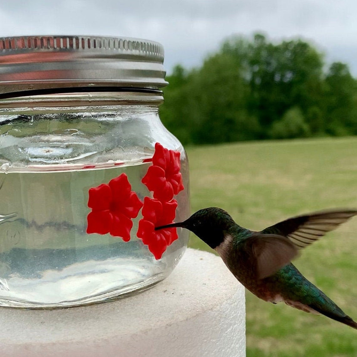 Mason Jar Hummingbird Feeder W/Three Ports