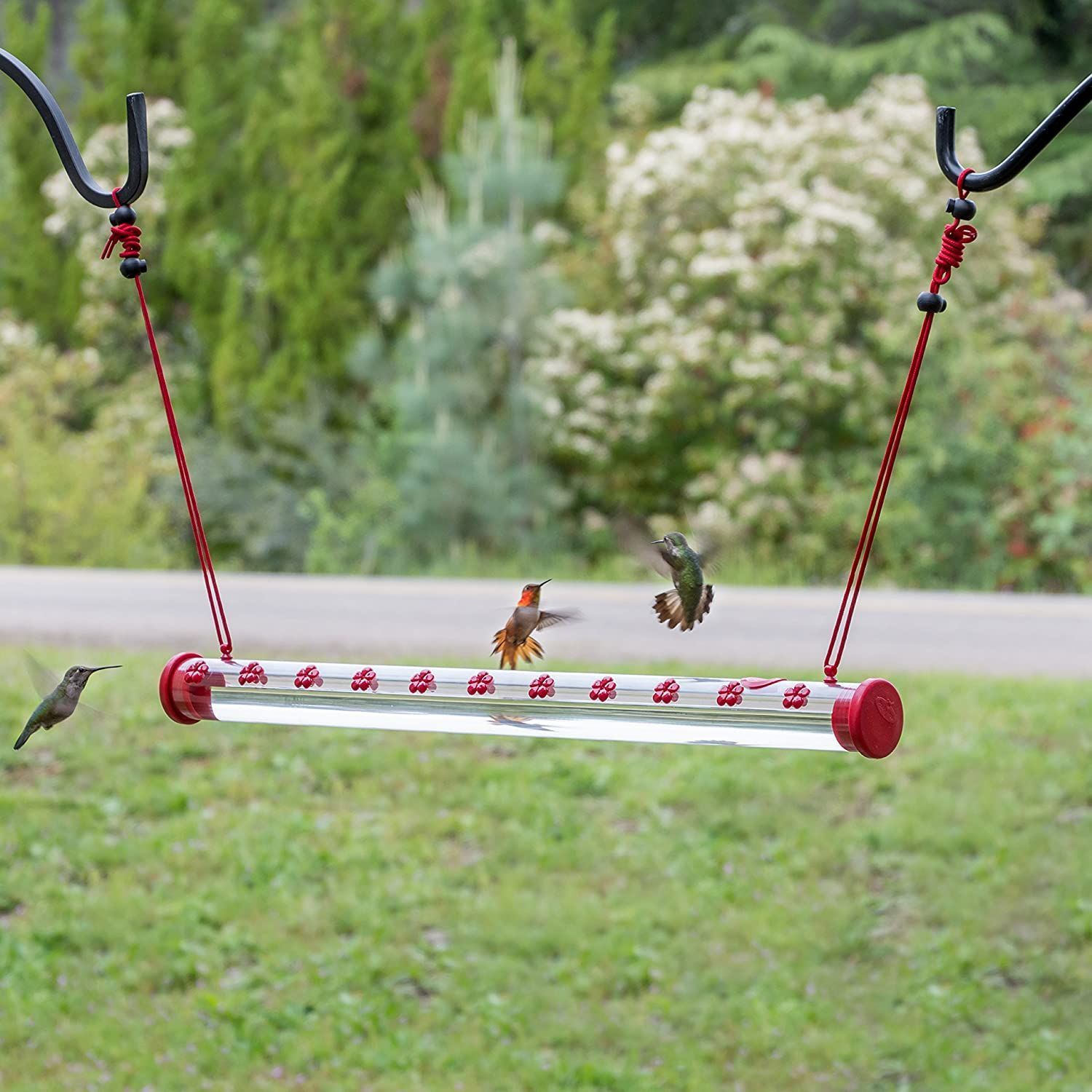 Best Hummingbird Feeder