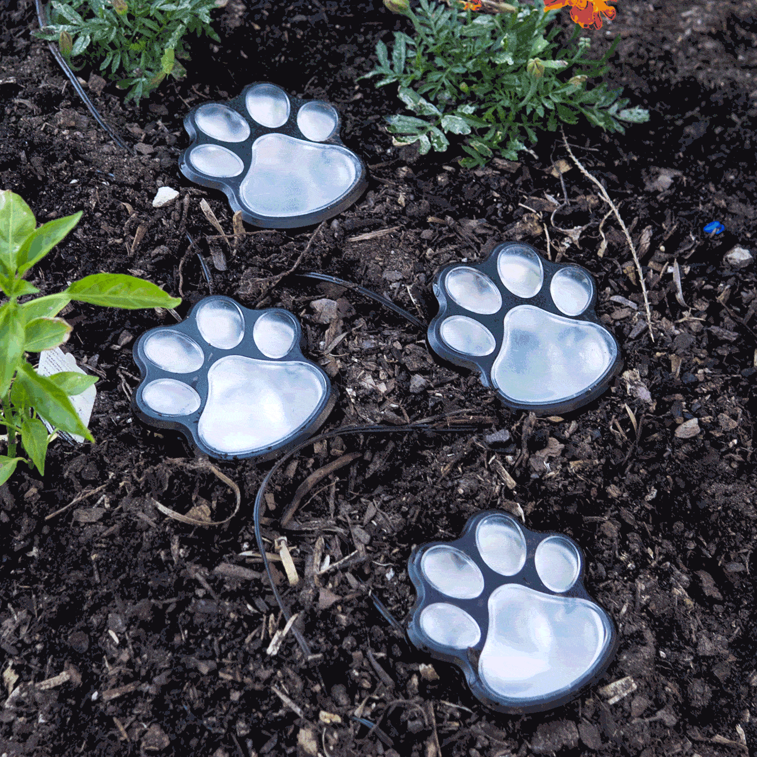 Solar Lights Outdoor Waterproof Dog Paw Lights