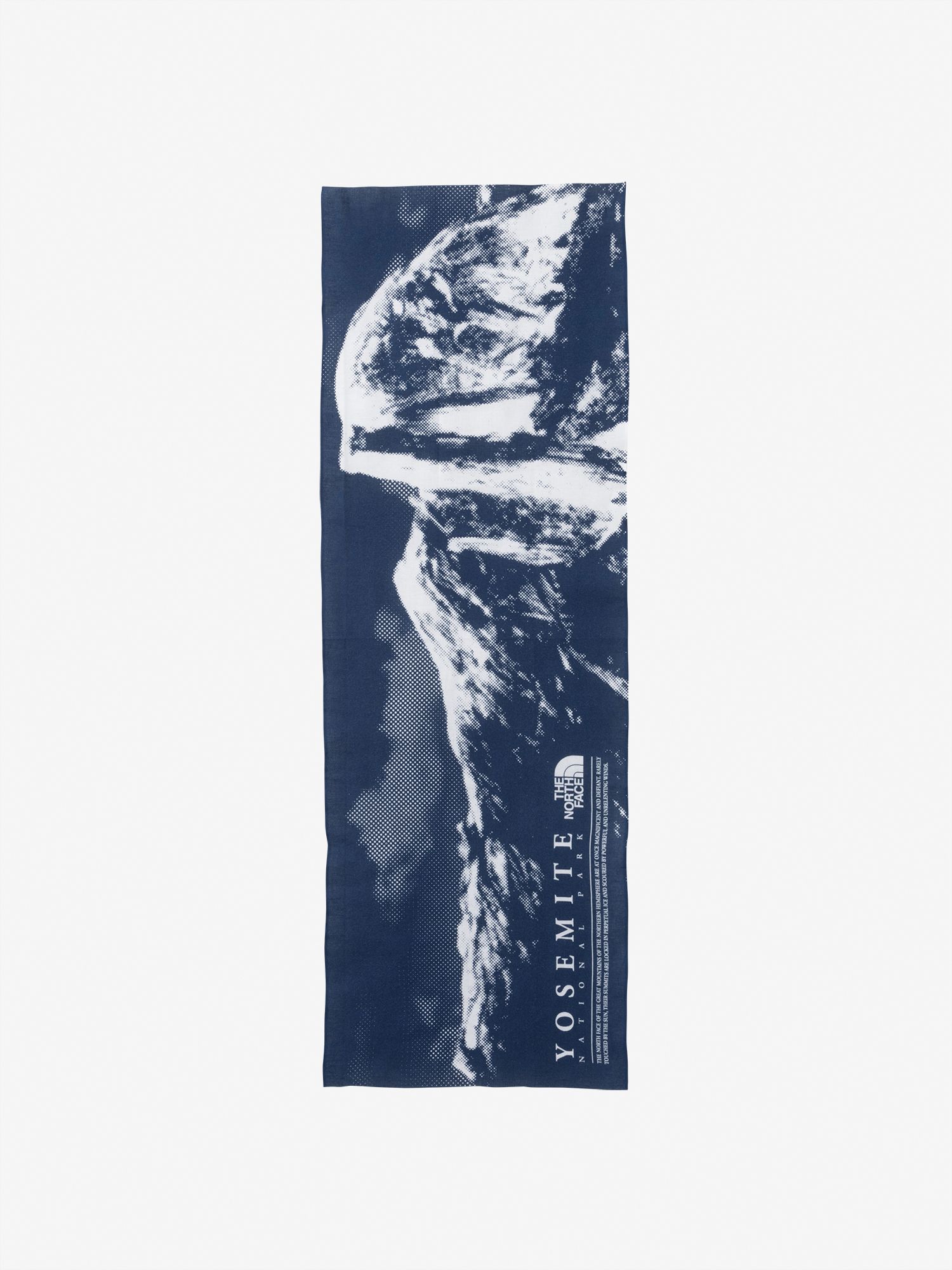 ヨセミテテヌグイ