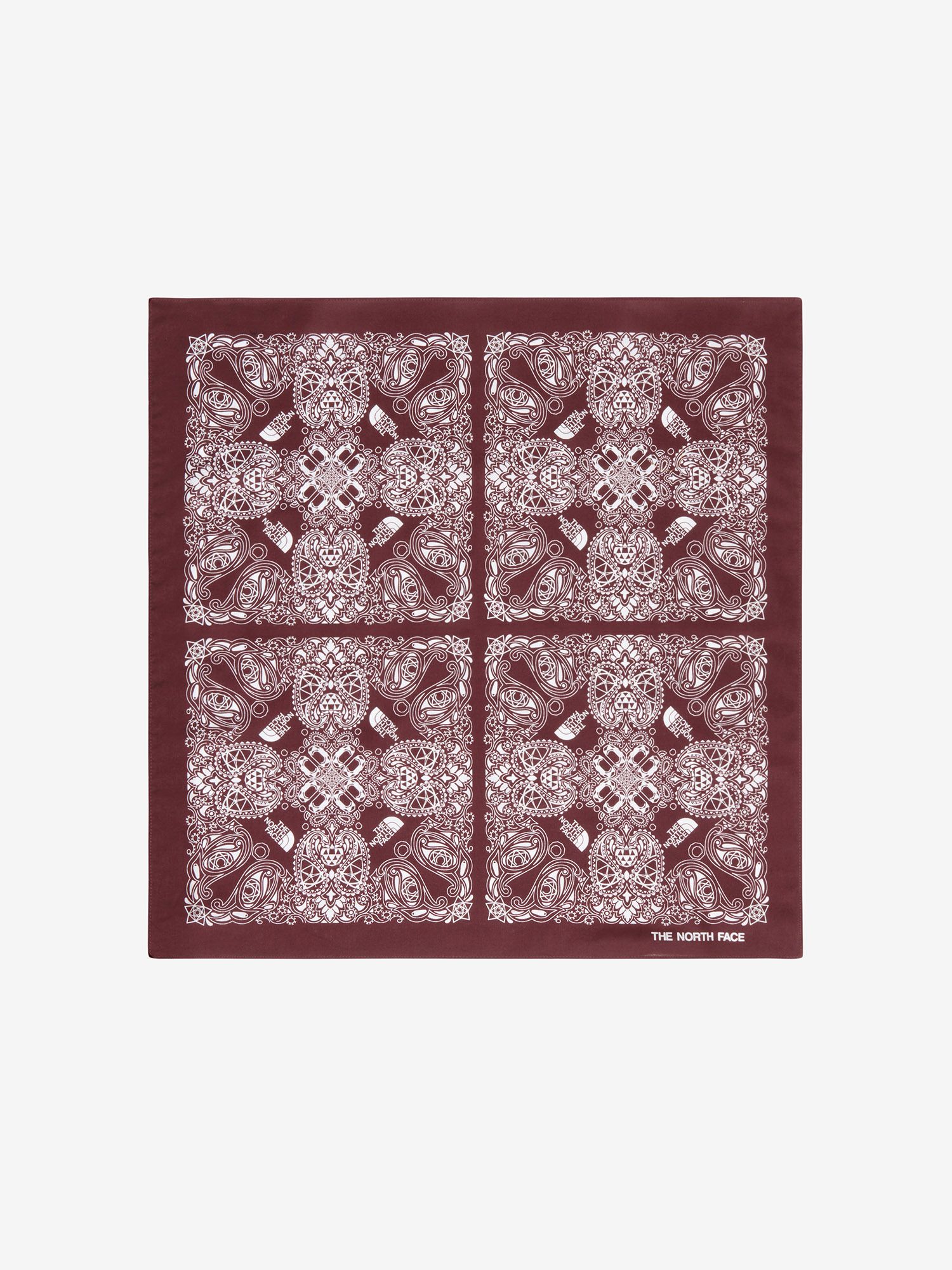 ジオドーム ペイズリーバンダナ