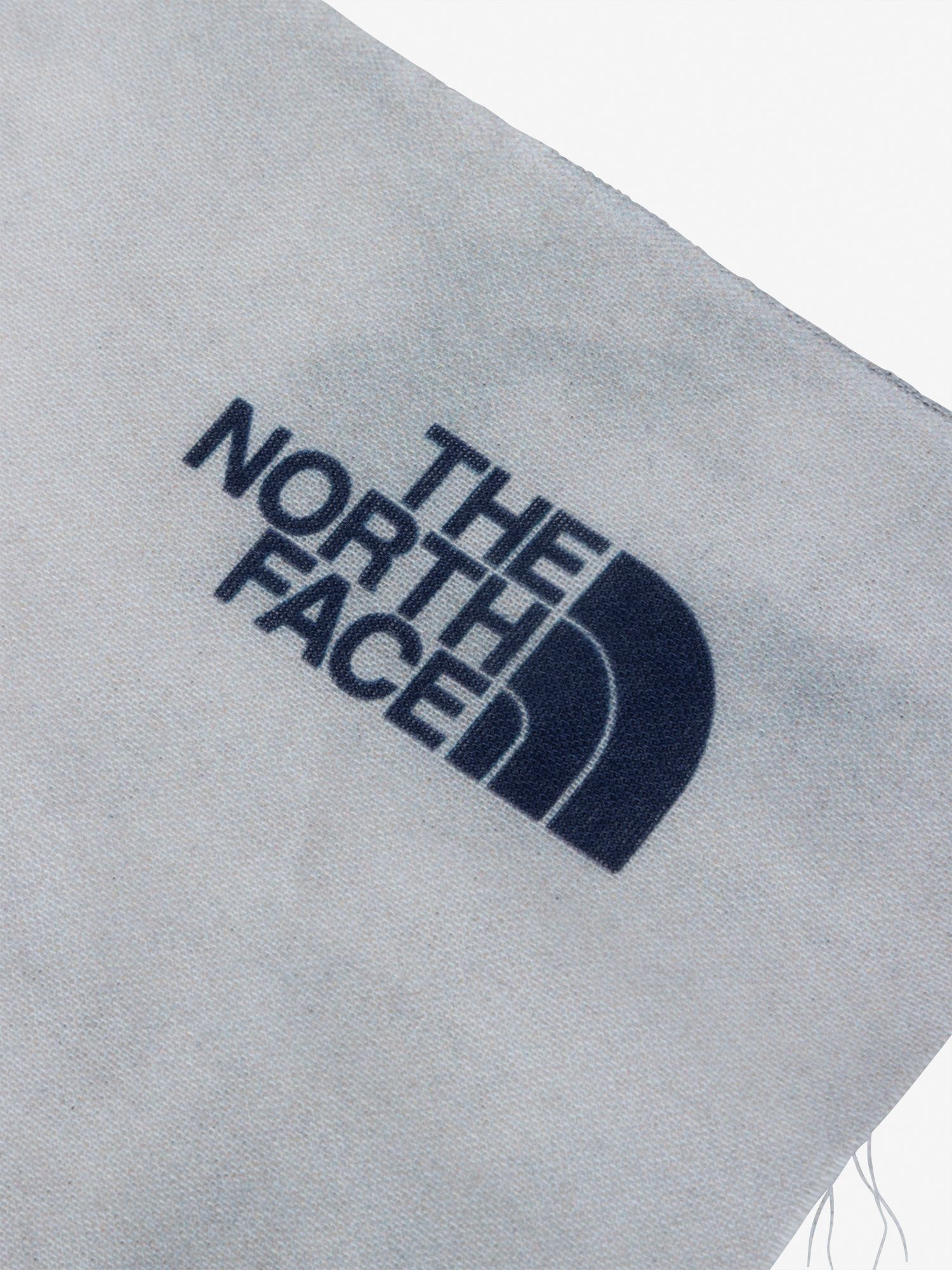 マウントフジテヌグイ