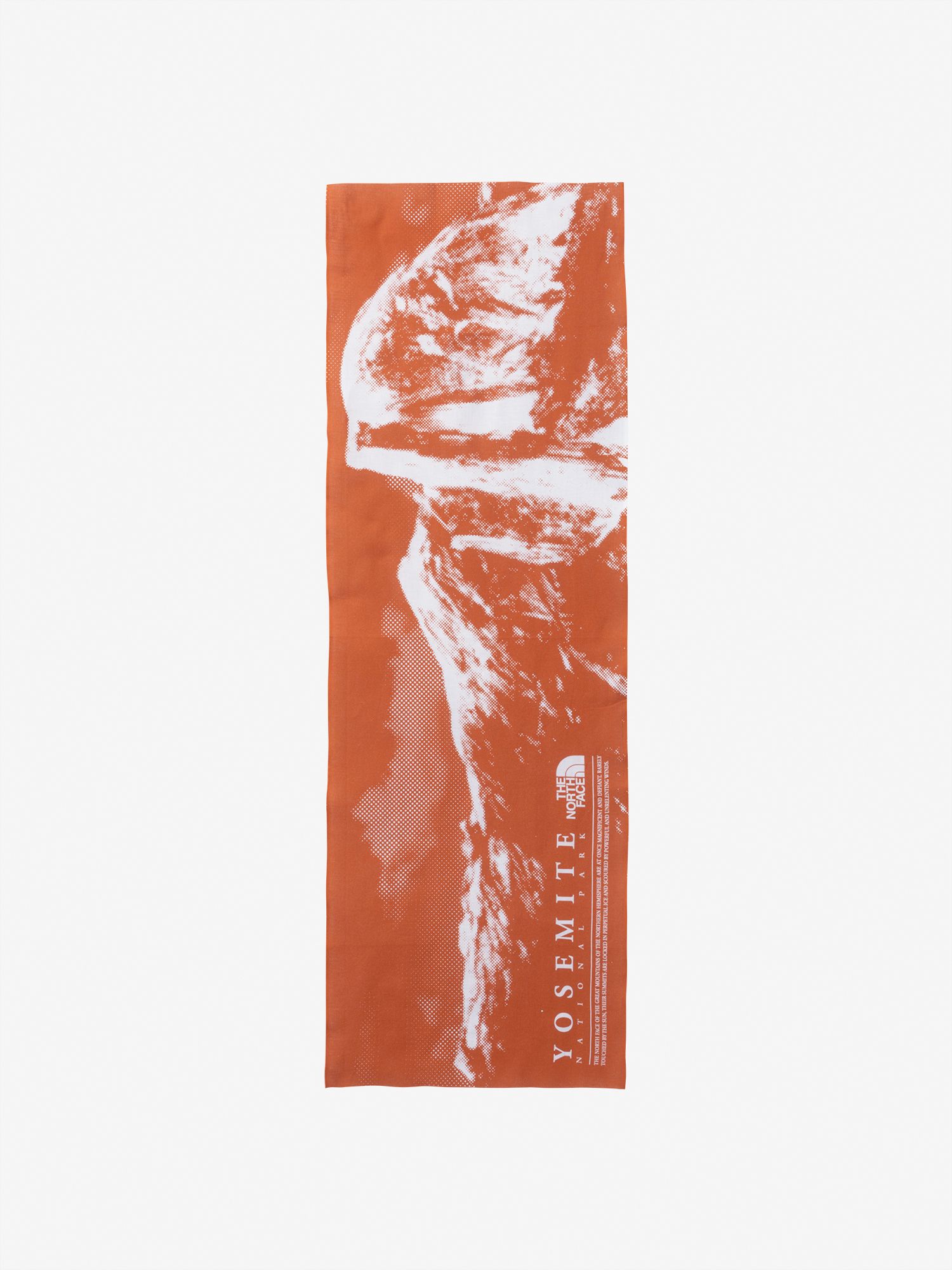 ヨセミテテヌグイ