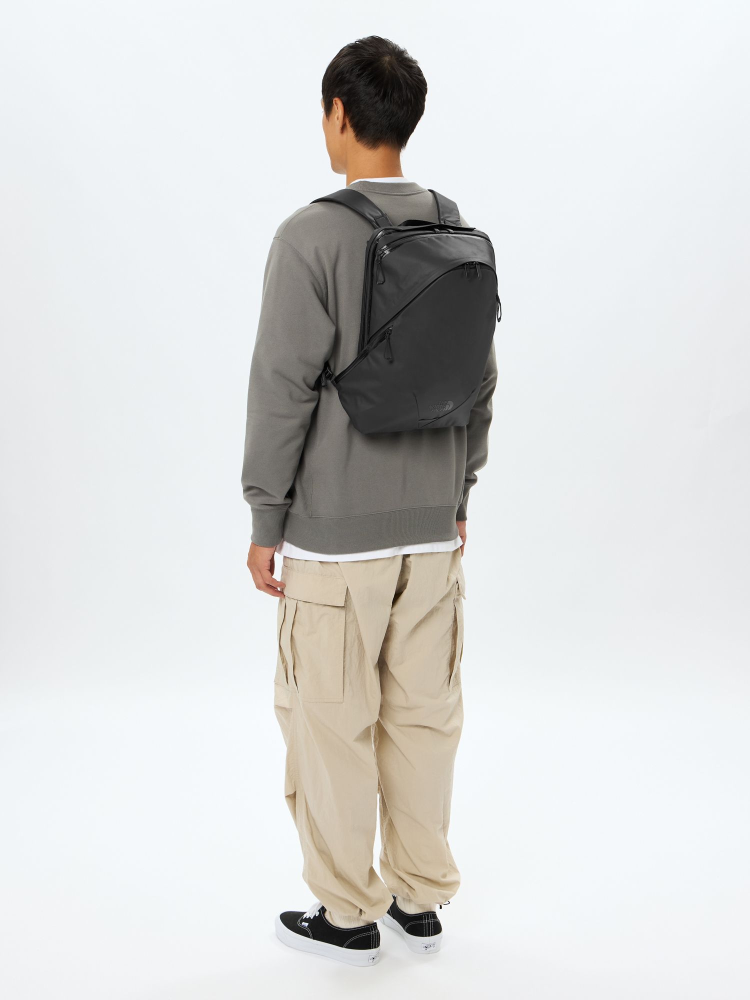 バイオタイトライト