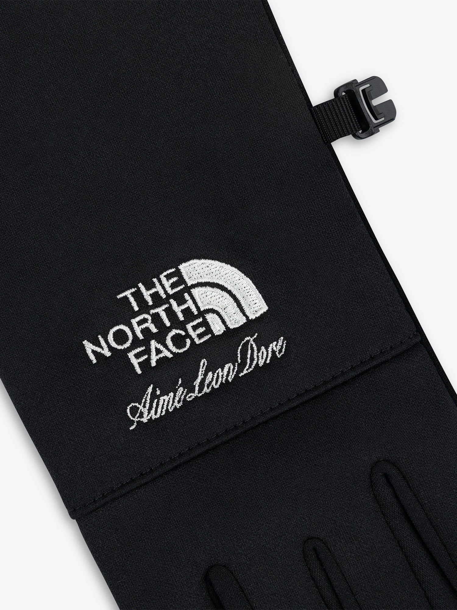 エメ・レオン・ドレ イーチップグローブ