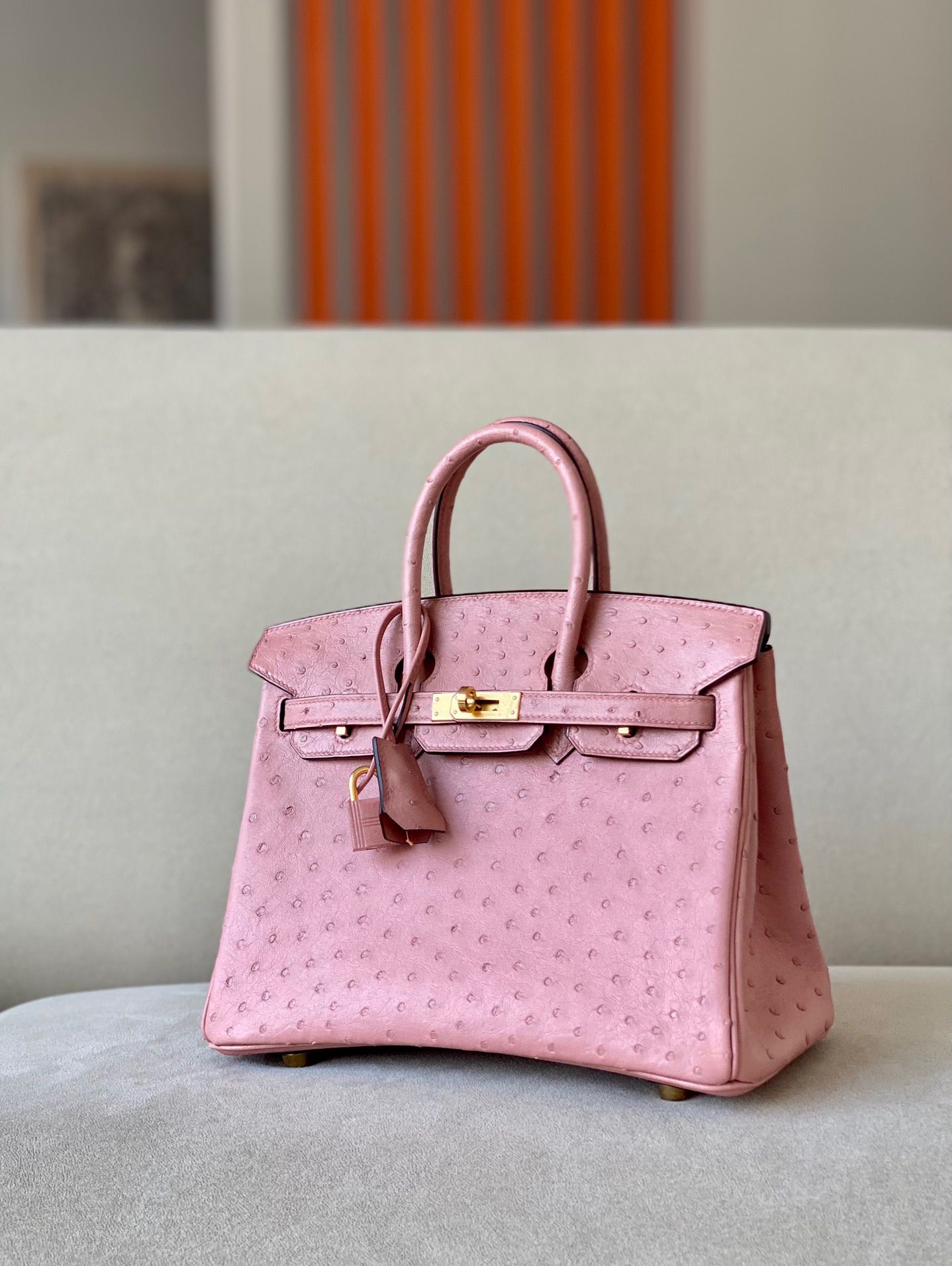Advanced customization Birkin 25-30 Ostrich skin