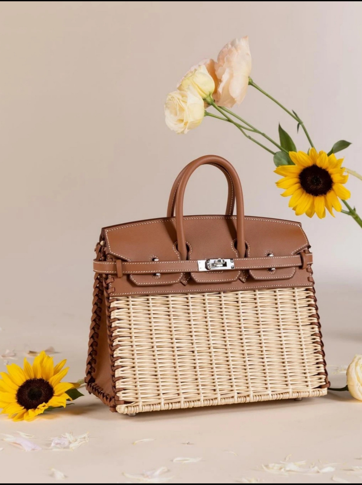 Picnic Sellier Birkin 25 Framboise Swift Palladium Hardware