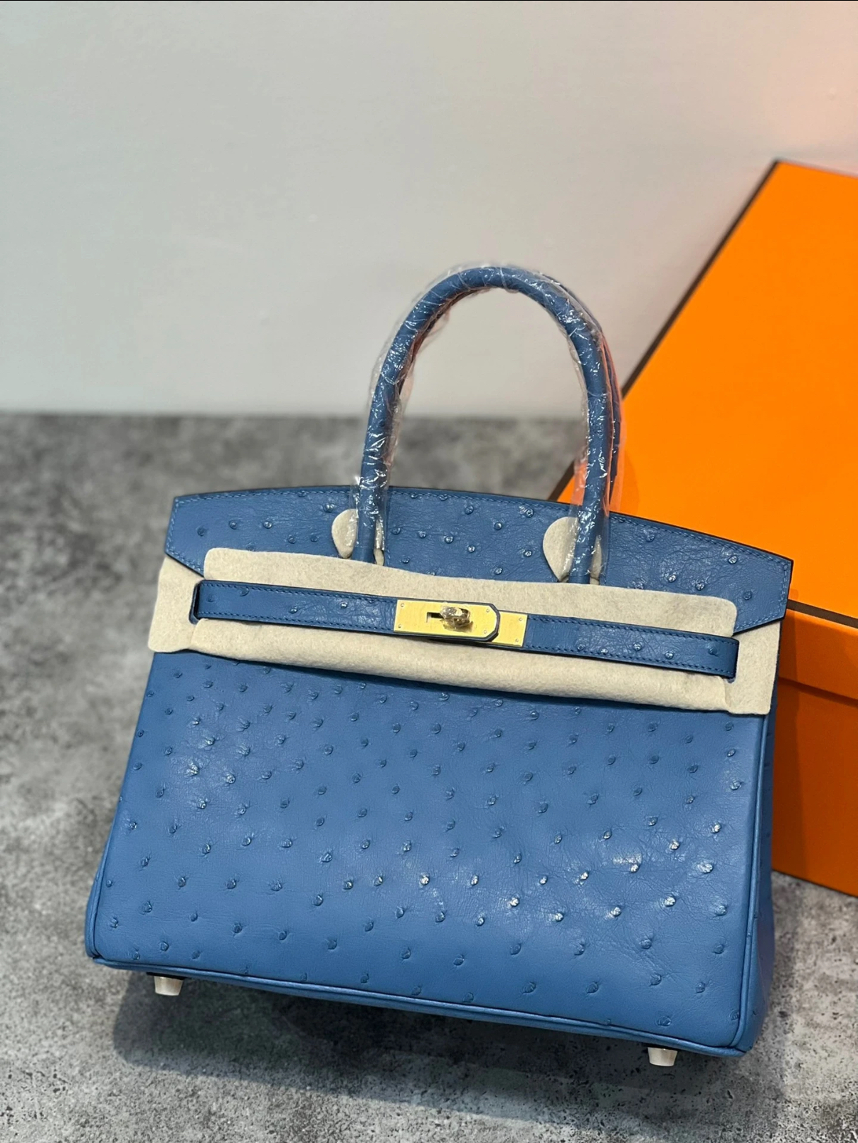 Advanced customization Birkin 25-30 Ostrich skin