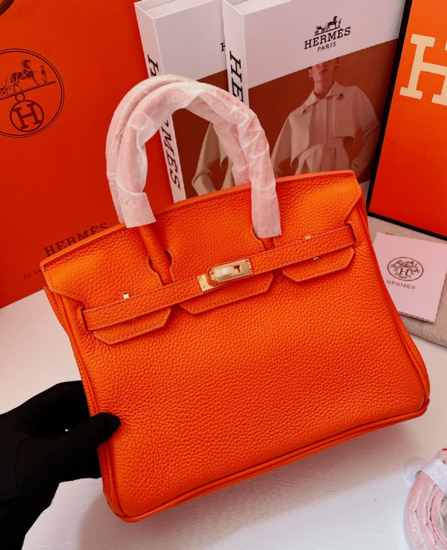 Birkin  25-30 TOGO