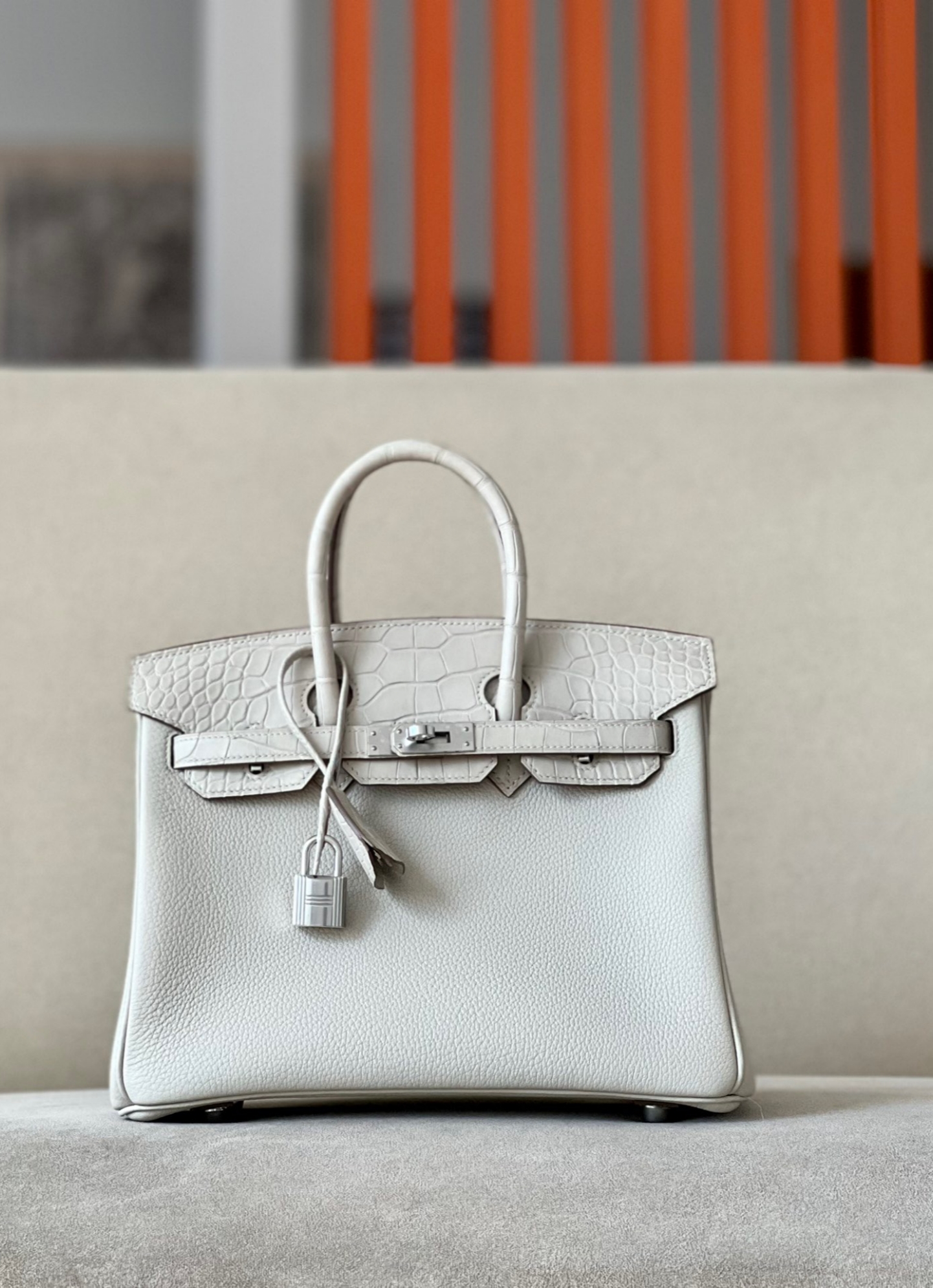 Advanced customization Birkin 25 crocodile skin