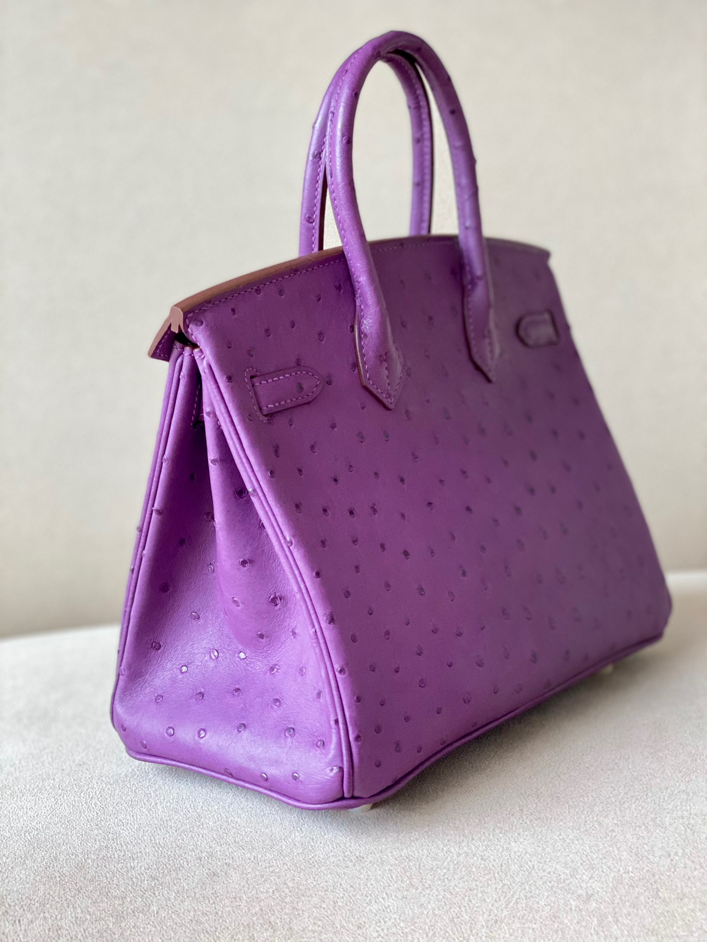 Advanced customization Birkin 25-30 Ostrich skin