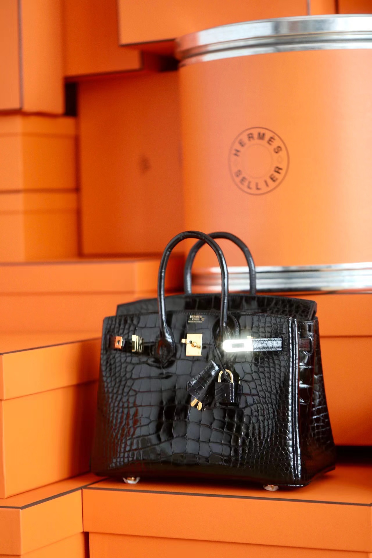 Advanced customization Birkin 20-30 crocodile skin