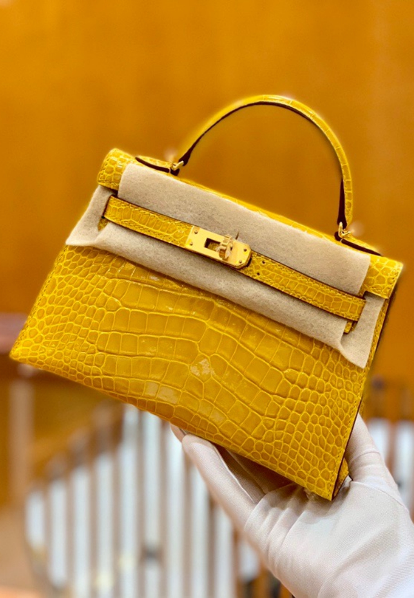 Kelly1 Mini 19 crocodile skin