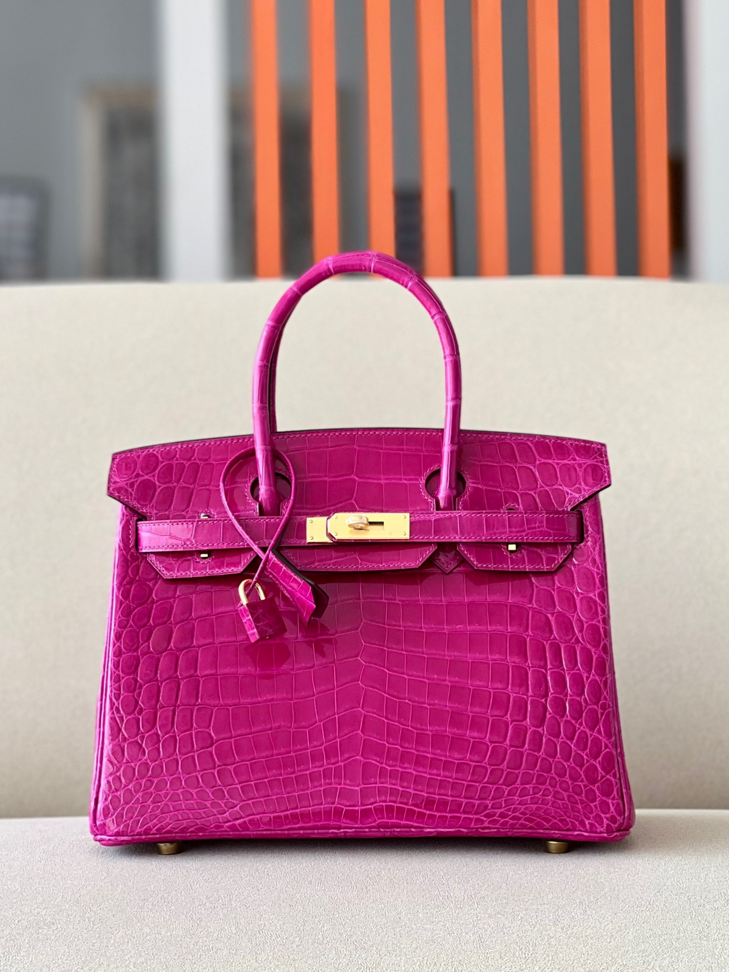 Advanced customization Birkin 25-30 crocodile skin
