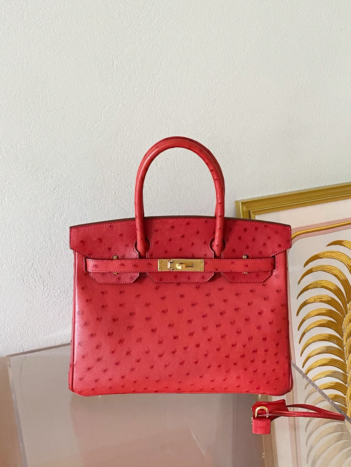 Birkin 25-35 gold buckle custom Ostrich leather