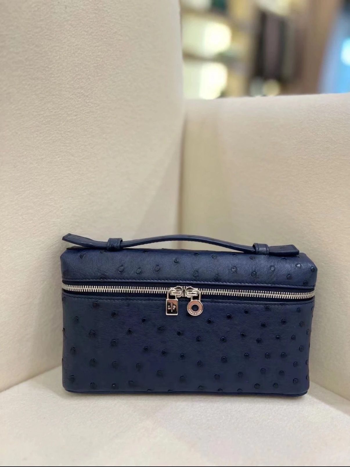 Loro piana 19 Ostrich leather