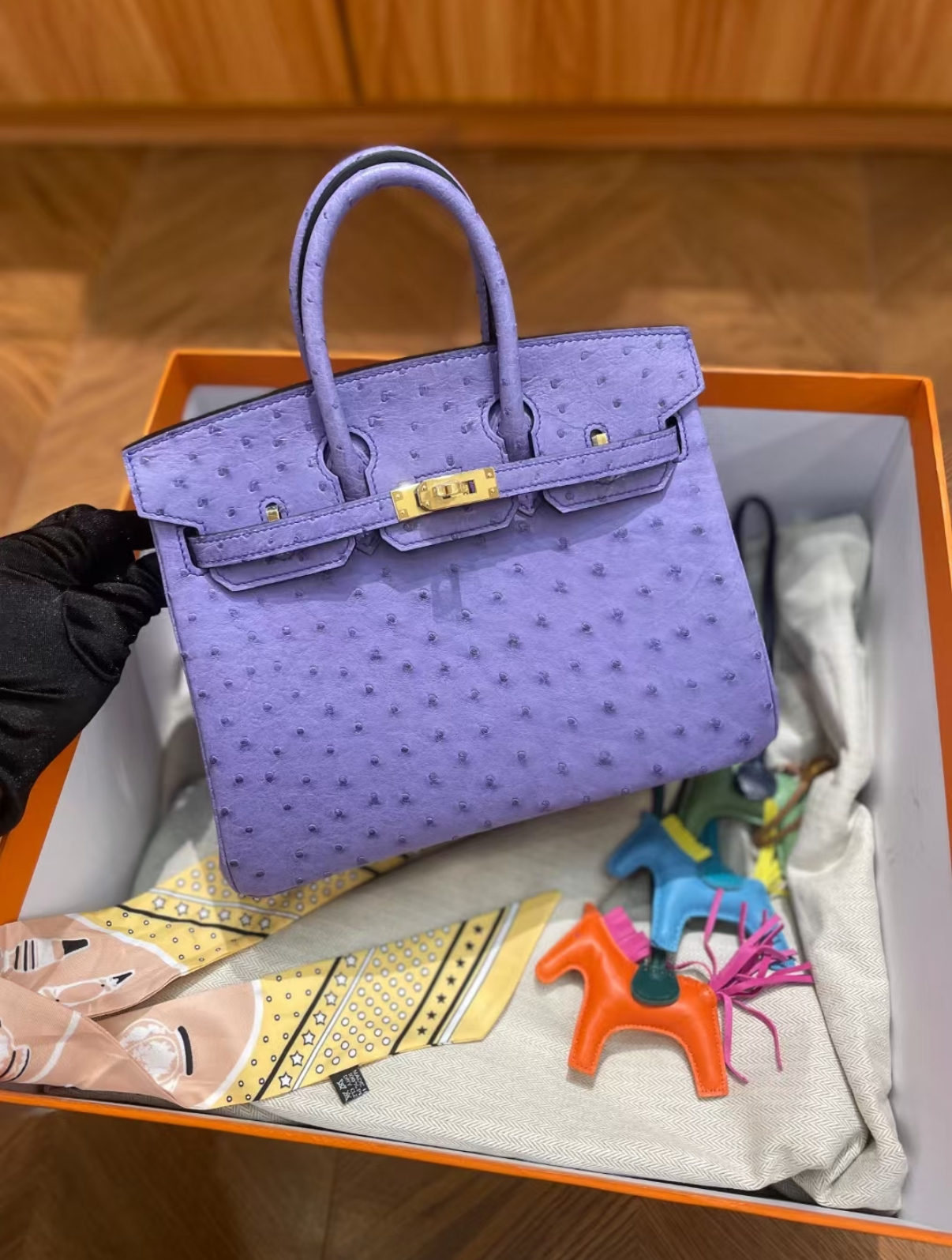birkin 25-30 Lavender Ostrich Leather Custom