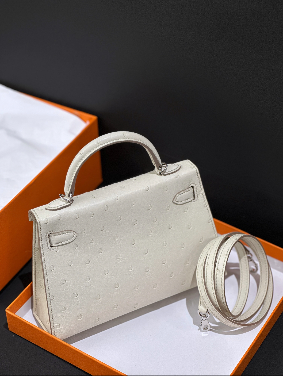 Mini Kelly II 19 Silver Buckle Glacier White Ostrich Leather Custom