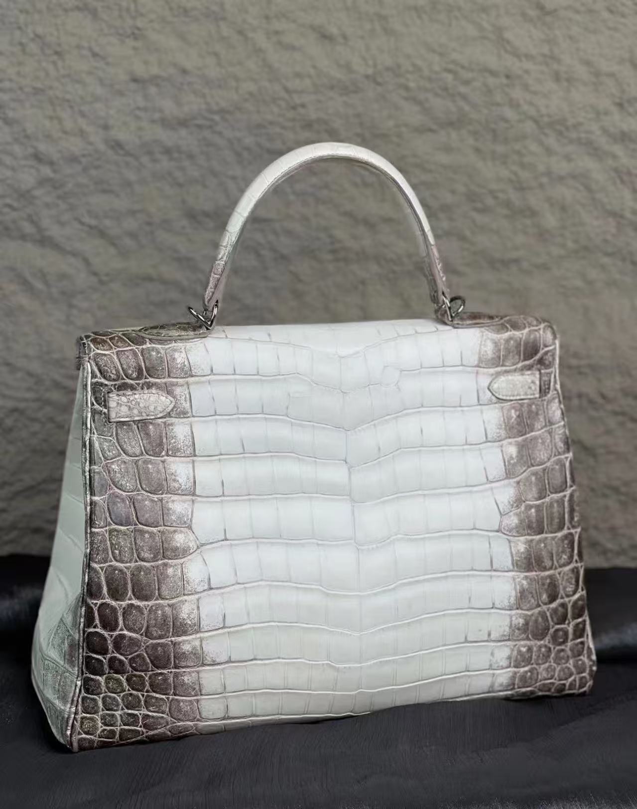 Kelly Himalayan 35 crocodile skin